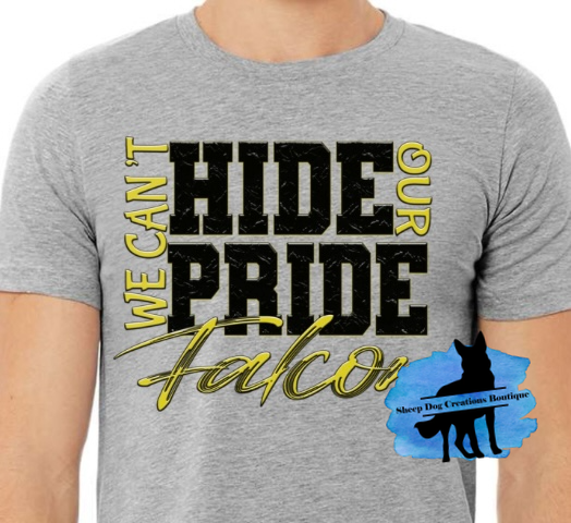 ✨⭐️New⭐️✨ Can’t Hide Falcon Pride